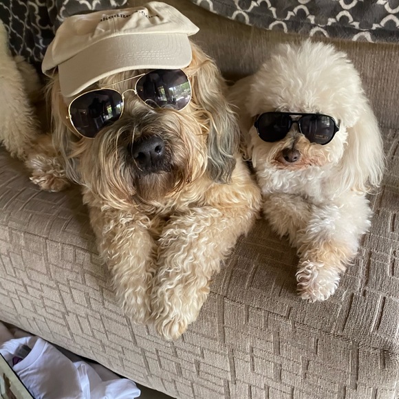 👜  Bijou’s Accessories!  🧳 - Picture 9 of 15